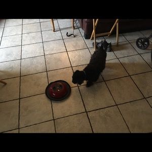 Meet your Posher, Jeanine